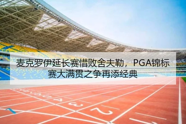 麦克罗伊延长赛惜败舍夫勒，PGA锦标赛大满贯之争再添经典