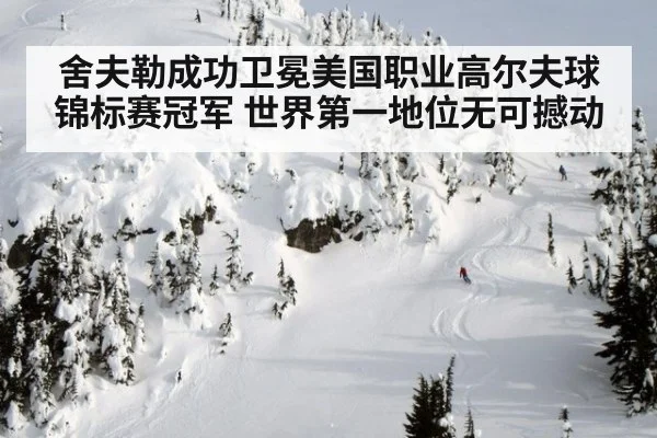 舍夫勒成功卫冕美国职业高尔夫球锦标赛冠军 世界第一地位无可撼动